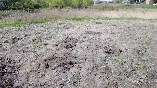 Было СЛОЖНО представить, что в ОГОРОДЕ такое можно НАЙТИ! В поисках сокровищ смотреть онлайн
