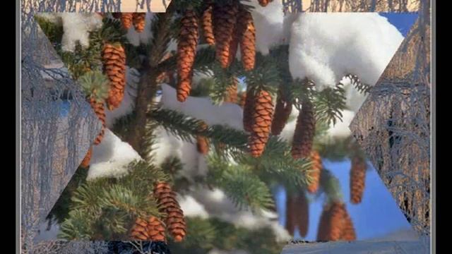 Падал белый снег.Волшебница-Зима....