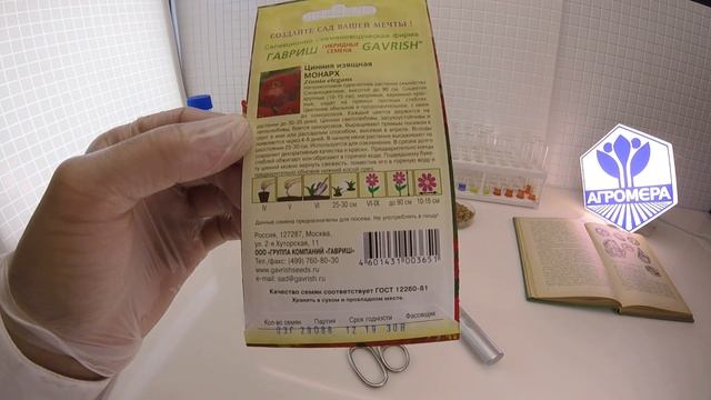 Цинния Монарх. Гавриш смотреть онлайн