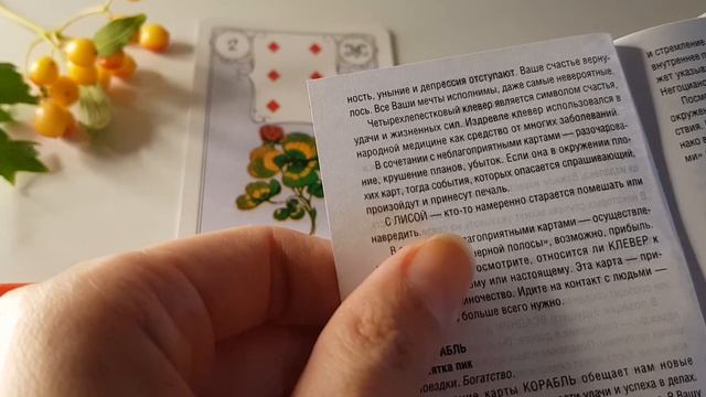 Карты Ленорман. 2 карта. КЛЕВЕР. Значение с инструкции. смотреть онлайн