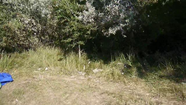 Мусор в Замостье смотреть онлайн