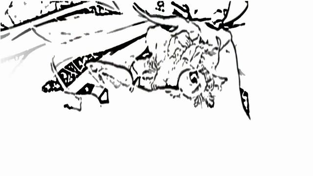 Необычное летнее видео смотреть онлайн