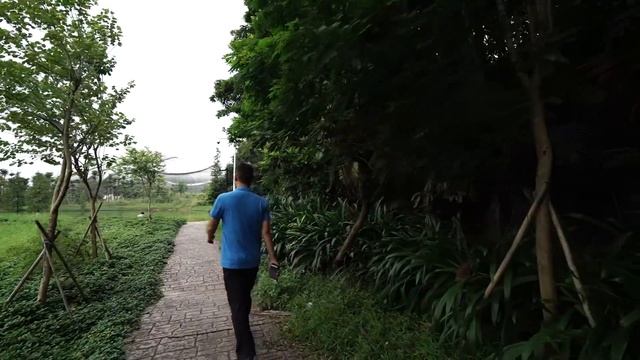 Beholder DS1 Sonny A7SII running Testing with new firmmware and profile смотреть онлайн