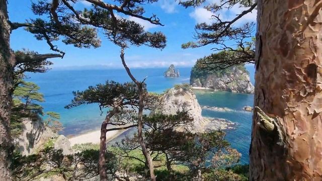 Кекуры Штаны, мыс Сосновый, без тумана. Бакланьи кекуры, Дальневосточный морской заповедник. #бв смотреть онлайн