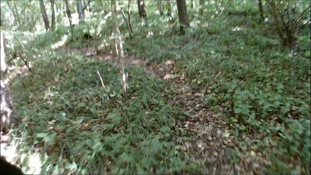 Лето. "Родниковый", Тула. смотреть онлайн