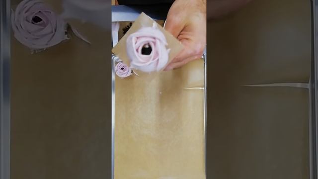 Зефирные розы | Сливовый зефир с черносливом и грецким орехом смотреть онлайн