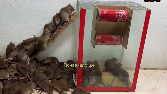 Жилищные проблемы | Ипотека | Бедные родственники - ГрафинЯ Рифмоплетова смотреть онлайн