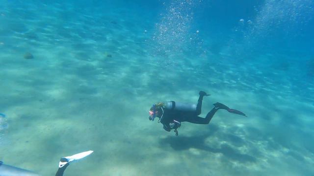 Красное море. Эйлат 5/11/21 .4 смотреть онлайн