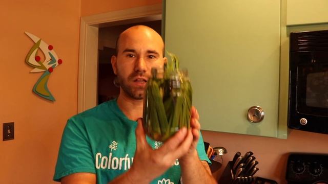 How To Propagate Papyrus?/ Colorful Gardener смотреть онлайн