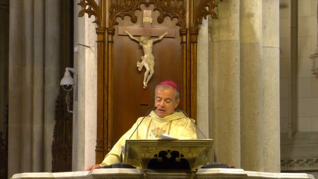 Misa de la Virgen de la Providencia - el 13 de Noviembre 2022 смотреть онлайн