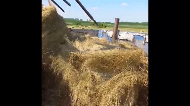 сенокос 2021 смотреть онлайн