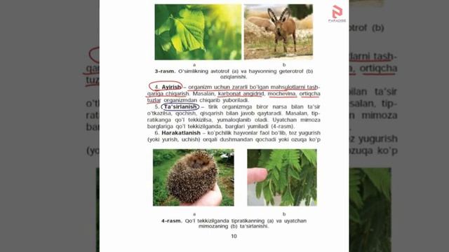 Tirik organizmlarning xususiyatlari смотреть онлайн