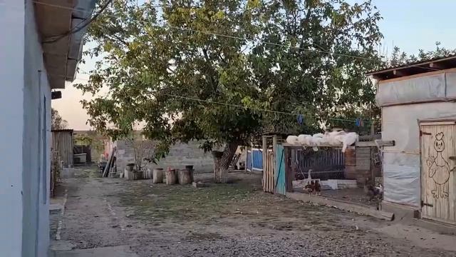 Переехали на Юг \ Купили цветы \ Украшаем дом \Надеюсь я её не испорчу \ Первый раз так делаю смотреть онлайн