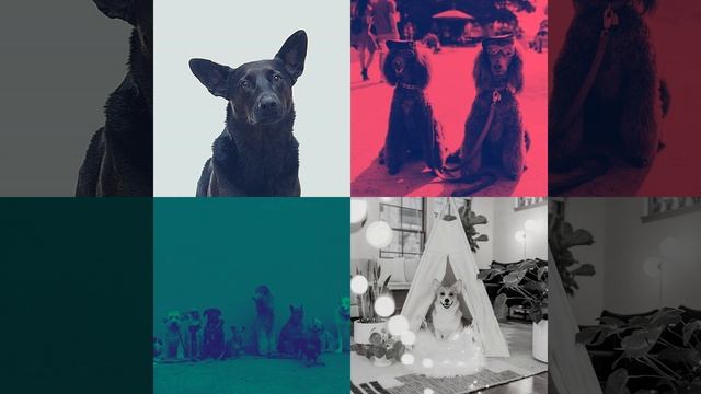 Видения (Щенки) смотреть онлайн