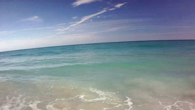 Saltwater Fishing for Blacktip Sharks смотреть онлайн