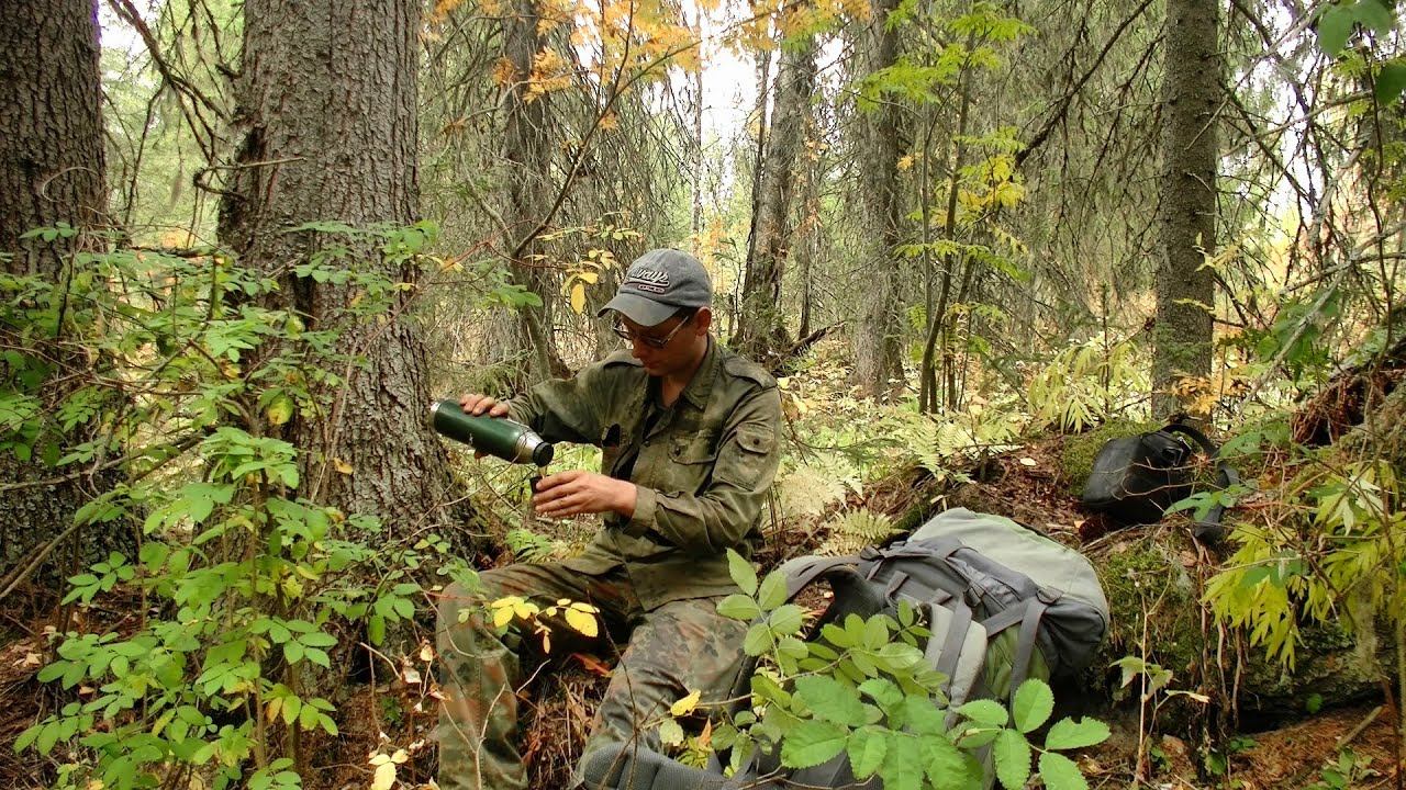 Проверил урочище в глуши #446 смотреть онлайн