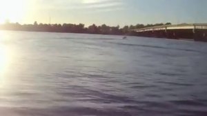 Первое впечатление о лодке кайман 36.