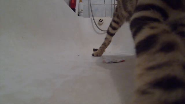 Игры в ванной // Games in the bathroom смотреть онлайн