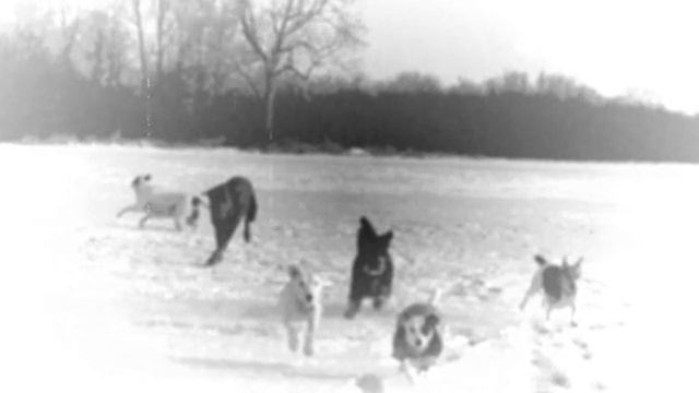 Vashti Bunyan - Jog Along Bess смотреть онлайн