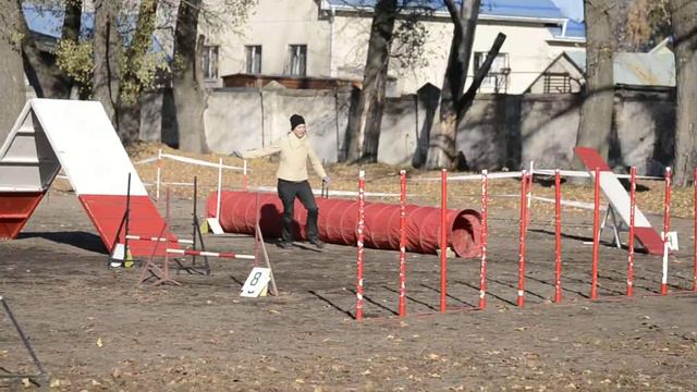 Воронеж 25.10.2014г. Аджитили А2 Цвергпинчер Солди смотреть онлайн
