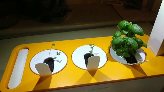Click and Grow - умный сад смотреть онлайн