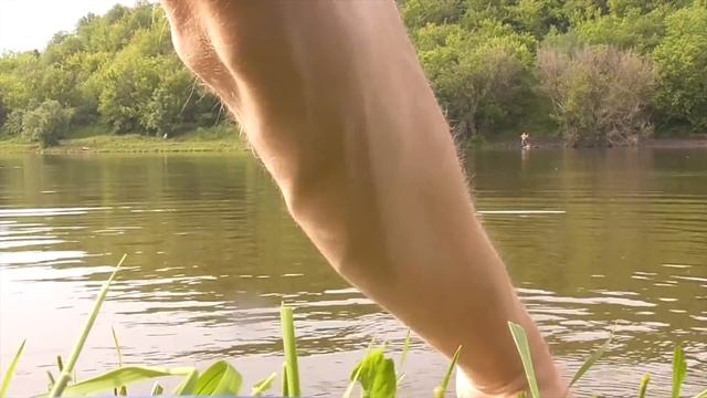 КАРАСИ И КАРПЫ ГНУТ УДОЧКУ И РВУТ ПОВОДКИ! ПОКЛЁВКИ КРУПНЫМ ПЛАНОМ! Рыбалка на поплавок в июне 2021 смотреть онлайн