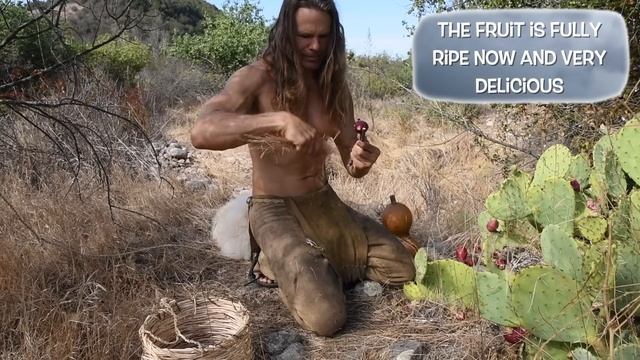 Primitive Harvest of Wild Cactus Fruit with Rufo смотреть онлайн