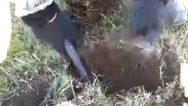 Коп.Нашли крест большой. смотреть онлайн