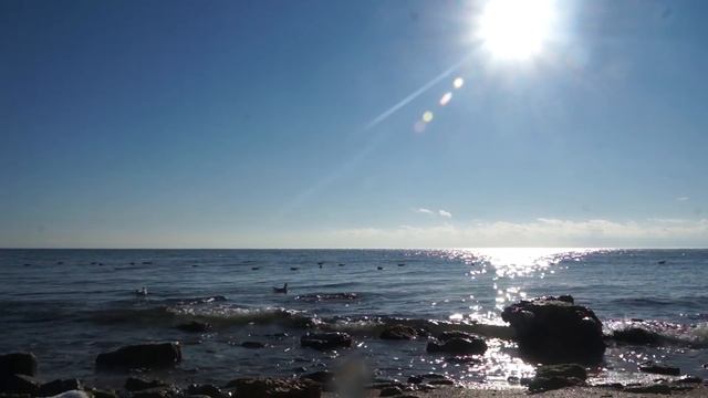 Sony NEX-5R video test with 18-200mm 3.5-6.3 OSS LE смотреть онлайн