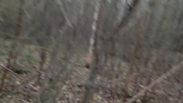 Пули 12 калибра. Пуля Полева 6У. Тест смотреть онлайн