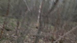 Пули 12 калибра. Пуля Полева 6У. Тест