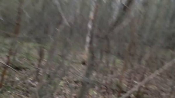 Пули 12 калибра. Пуля Полева 6У. Тест