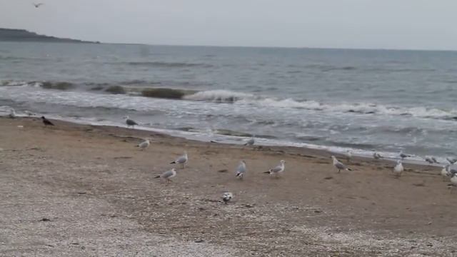 Tatar Cinema International Odessa Luzanovka МОРЕ ЖДЁТ The sea awaits Море чекає смотреть онлайн