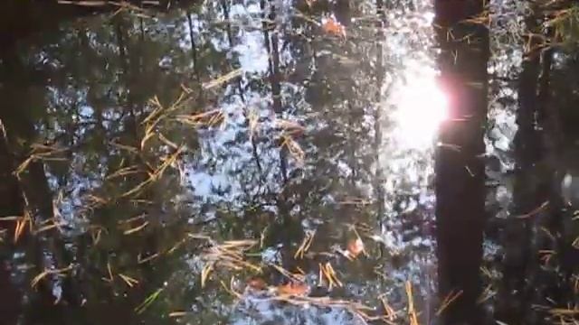 Каменные чаши с водой в Учалинском районе Башкирии смотреть онлайн