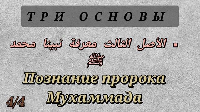 22/22. Три основы. Что такое Тагут и его виды смотреть онлайн