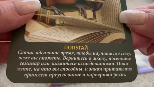 Диагностика на неделю с 5 по 12 июня. Таро. Наталья Ковалева. смотреть онлайн