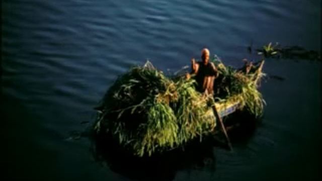 Vues du ciel смотреть онлайн