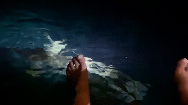 Fish SPA смотреть онлайн