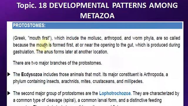 Developmental Patterns Among the Metazoa ZOO501 Topic 18 смотреть онлайн