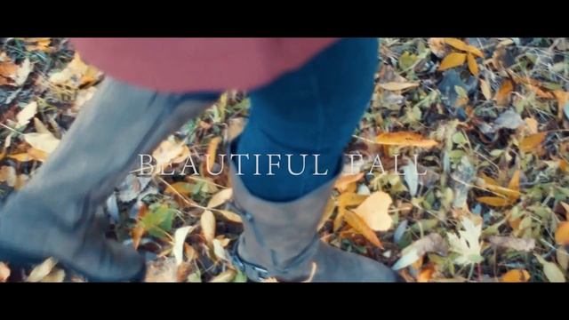 Beautiful Fall | SONY NEX 6 CINEMATIC VIDEO TEST смотреть онлайн
