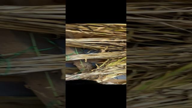 Игрушки ручной работы от Лесной Феи