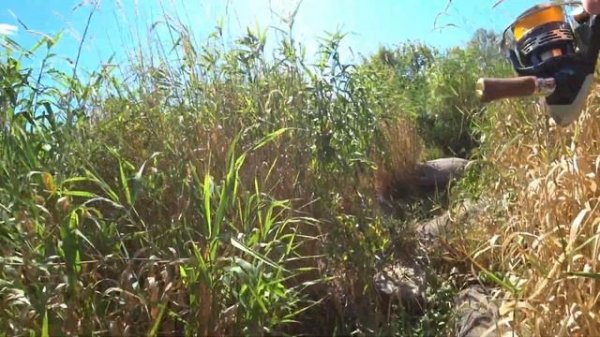 Трофей на новый спиннинг AZURA X-GAME