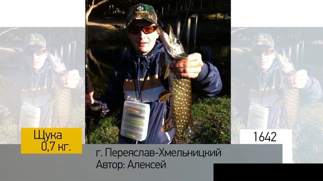 Фотоальбом - Рыбалка №328 смотреть онлайн