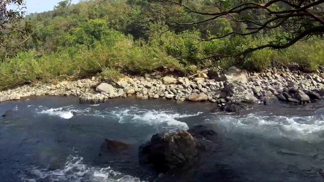 Гоа. Поездка в верховья Мандови. Поход вдоль реки через джунгли смотреть онлайн