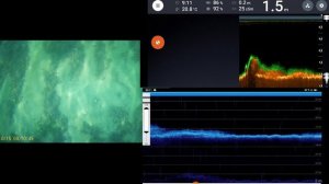 Эхолот Deeper Chirp 2 и Эхолот АкваРобот . Часть 2 . пейзаж морского дна