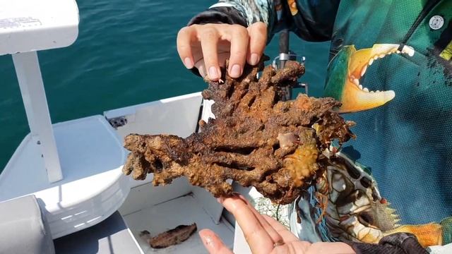 Рыбалка. Остров, где рыбы устраивают сборы. (видео 072) смотреть онлайн