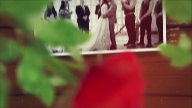 Свадебное слайд-шоу зеленые листья красные розы Wedding Love Story Slideshow Green Rose Videohive смотреть онлайн