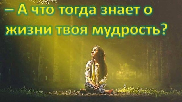 Вкус жизни (притча). Мудрая короткая притча о счастье и смысле жизни смотреть онлайн