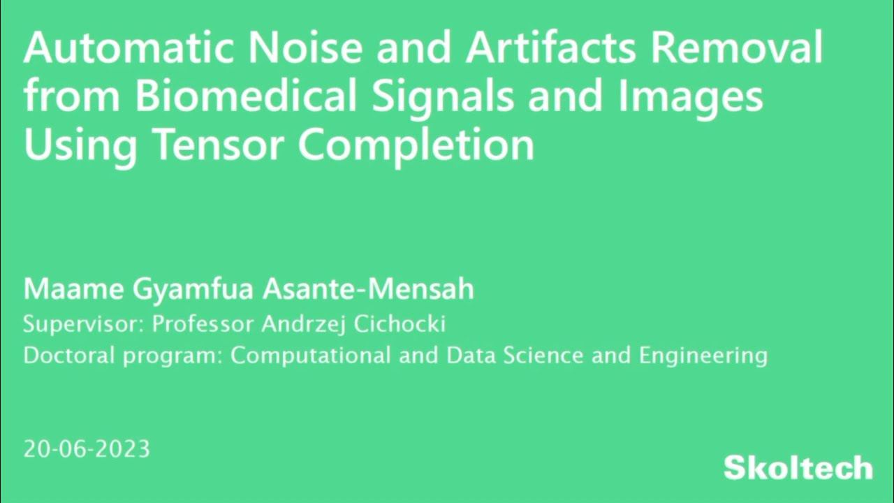 PhD Thesis Defense. Maame Gyamfua Asante Mensah смотреть онлайн