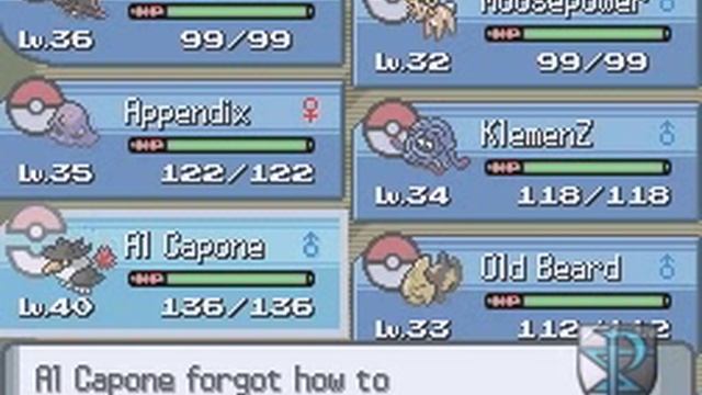 Let's Play Pokemon Perl; Metronome Team Only Run [Part 28] - "P" wie Pandiro! смотреть онлайн